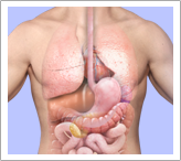 Video Thoracic Surgery